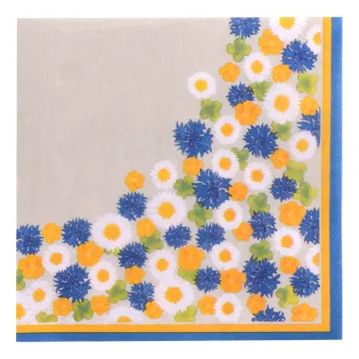 Servett Examen - 20-pack