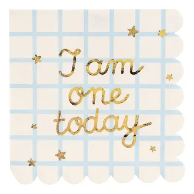 Servetter I Am One Today - 12-pack