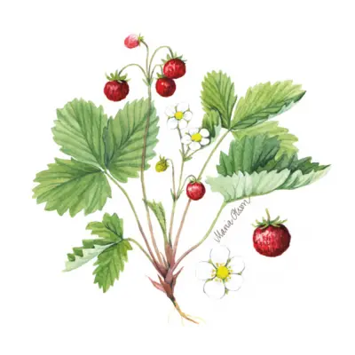 Servetter Smultron - 20-pack