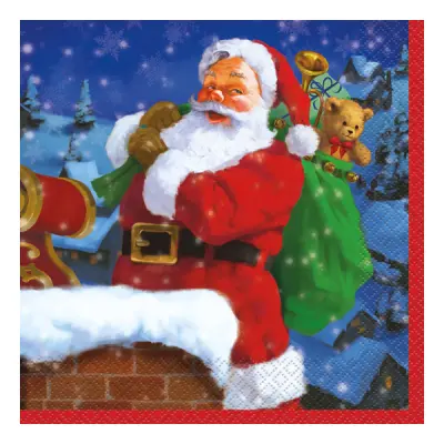 Servetter Tomte - 16-pack