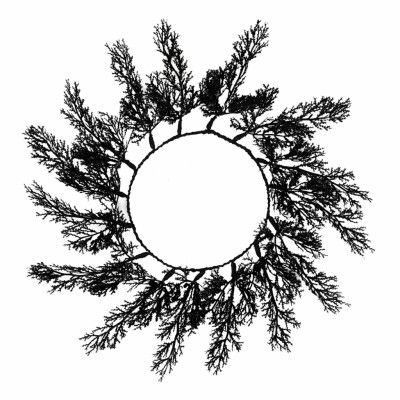 Svart Kvistkrans Underlägg